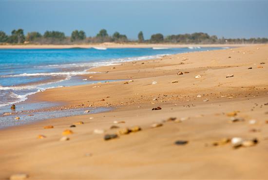 shell and fine sand of vendée - Campsite La Siesta | La Faute sur Mer