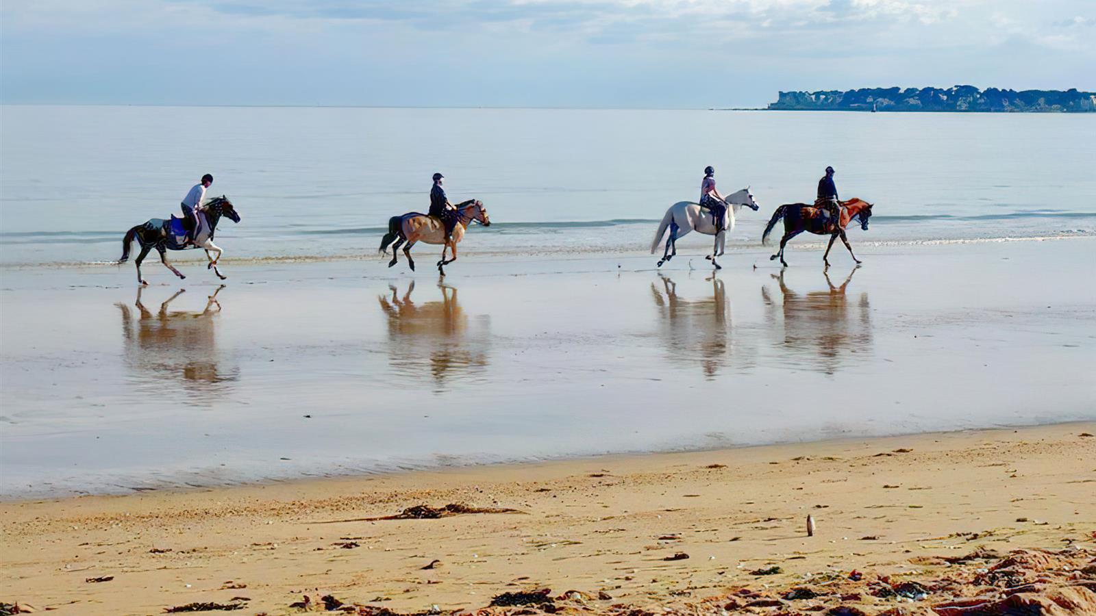 Horse riding near La Tranche Sur Mer - Camping La Siesta | La Faute sur Mer