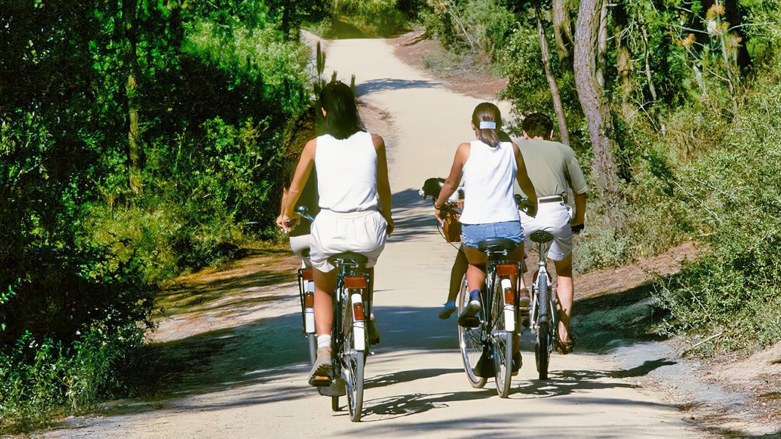 Walks and hikes by bike and on foot near Camping La Siesta - Camping La Siesta | La Faute sur Mer