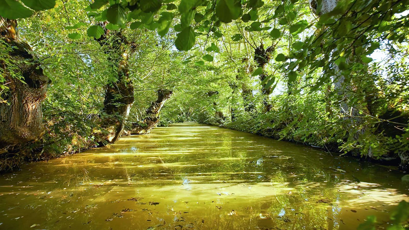 Marais Poitevin near La Faute sur Mer - Camping La Siesta | La Faute sur Mer